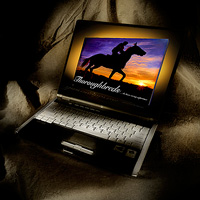 Thoroughbred-ebook-Laptop-LOGOjpg