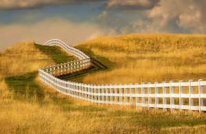 White Fence Hillside